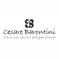 Копия Cesare barontini