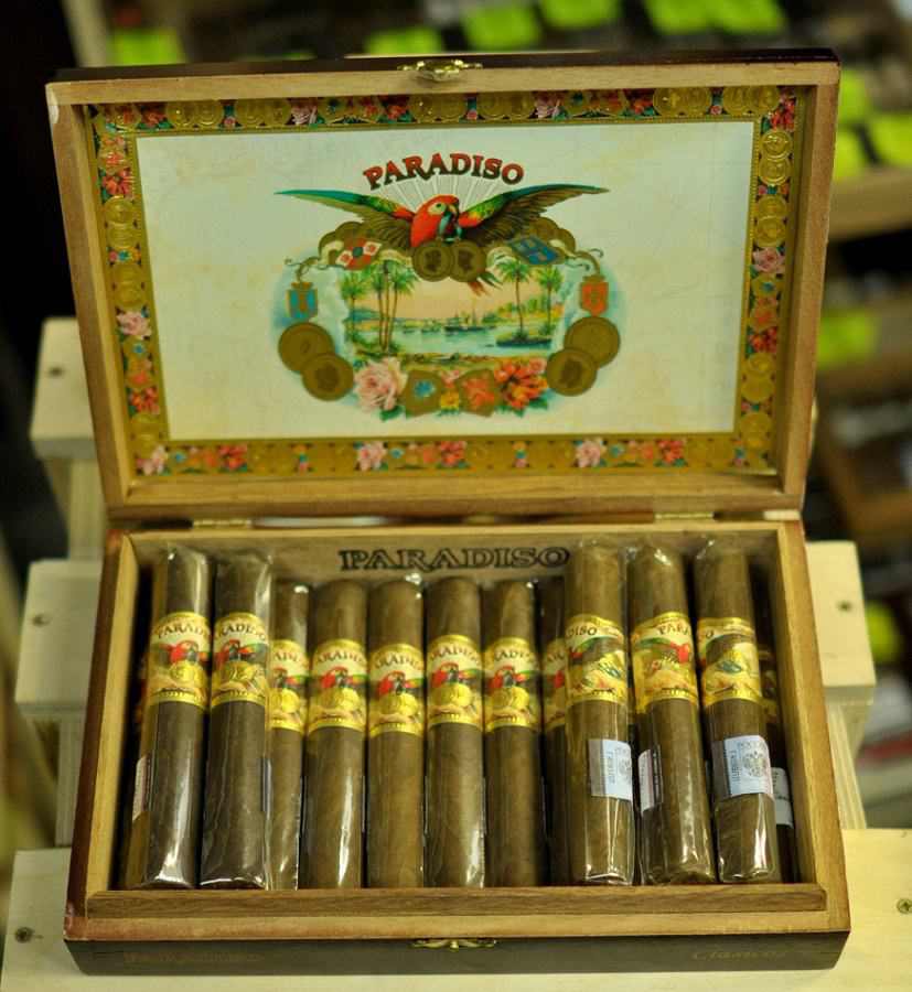 Paradiso Classico Robusto