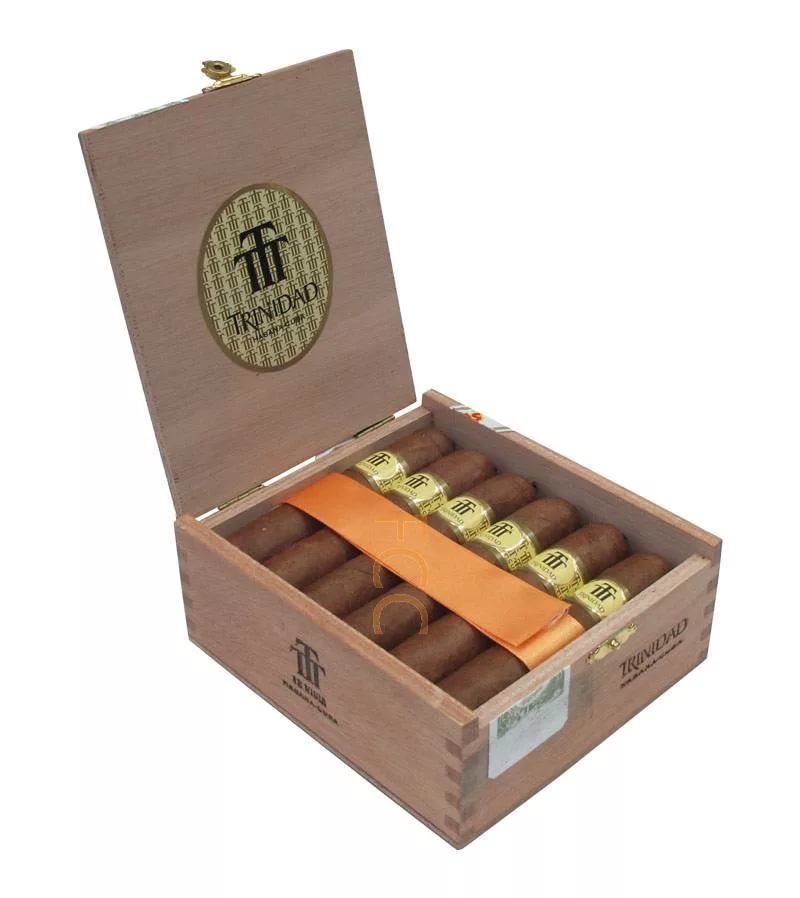 Trinidad Vigia