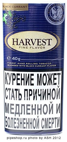 Harvest Black Currant