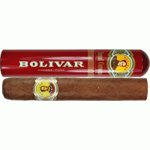 Bolivar Royal Coronas в тубе