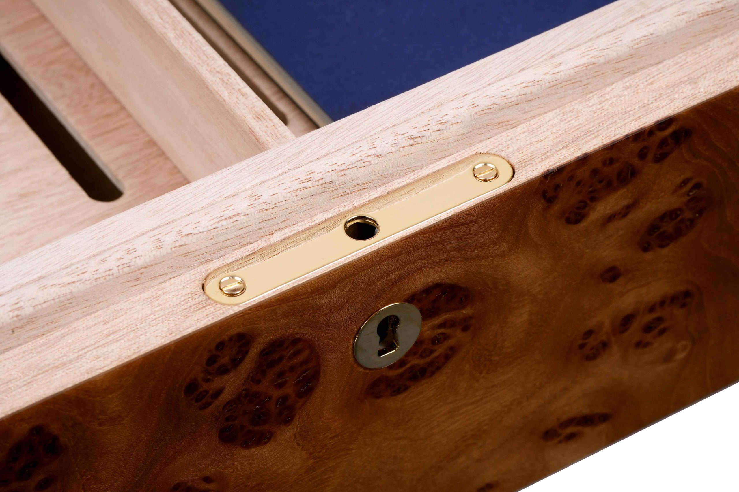 sv50-elm-dome-top_5-scaled.jpg