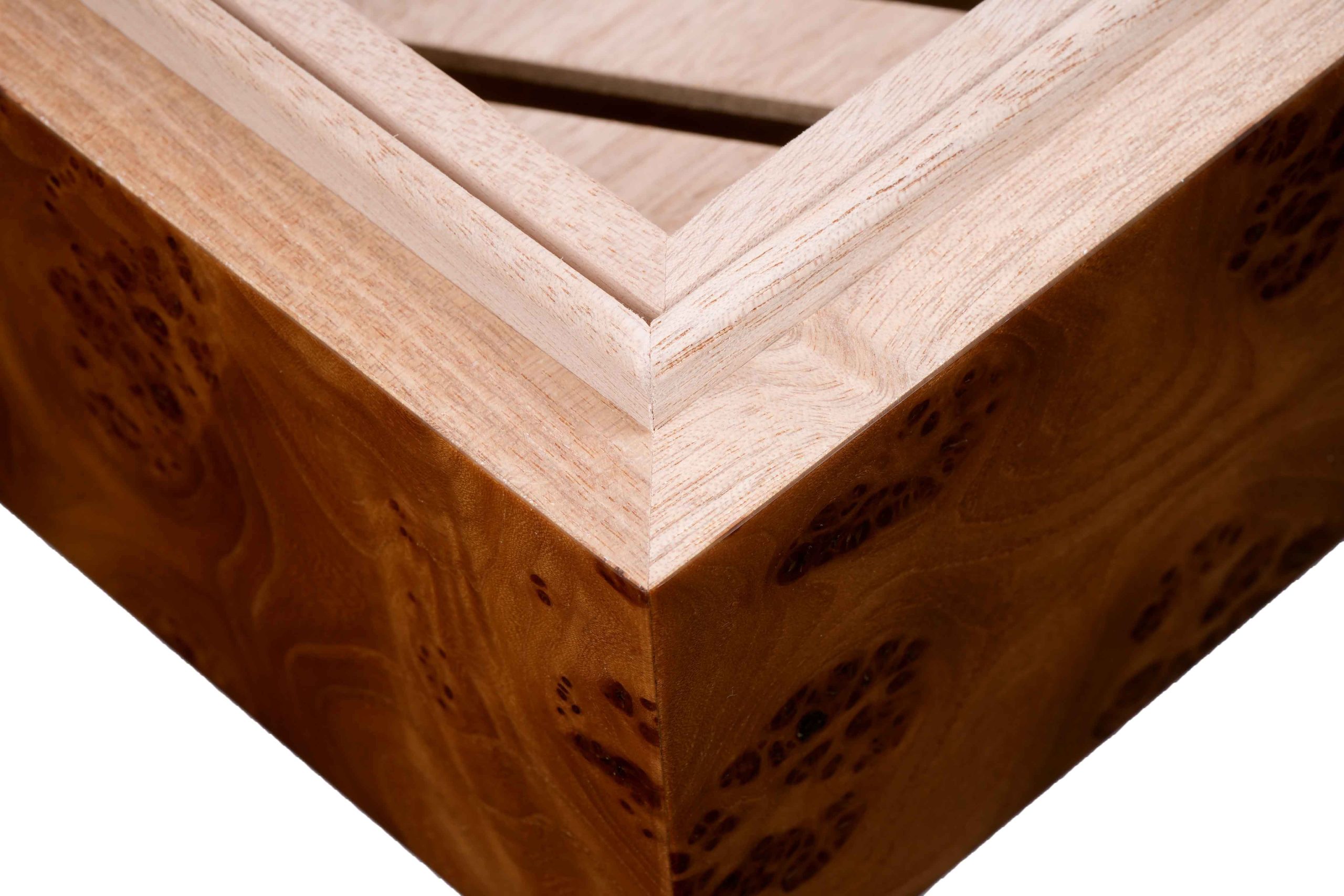 sv50-elm-dome-top_7-scaled.jpg