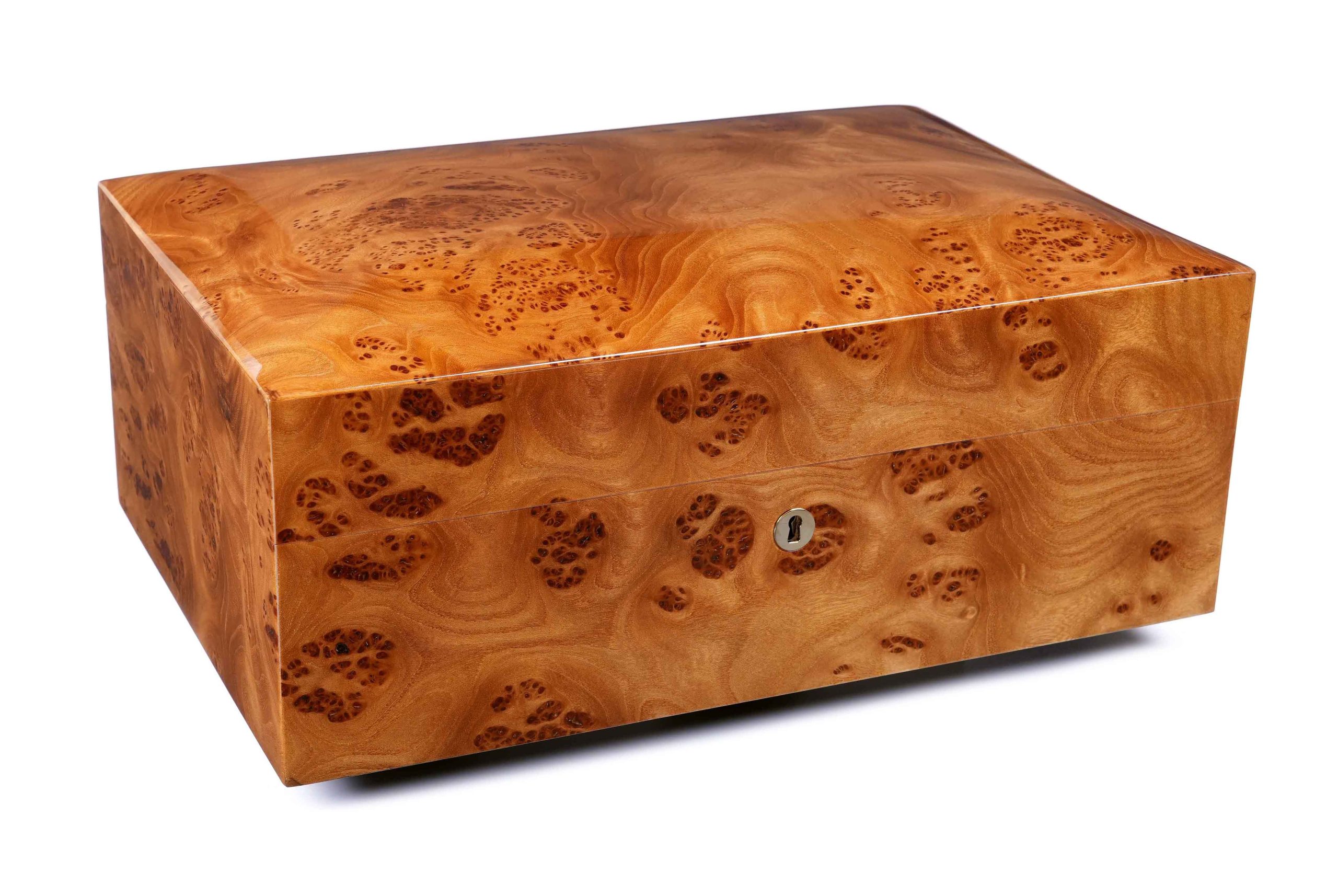 sv50-elm-dome-top_9-scaled.jpg