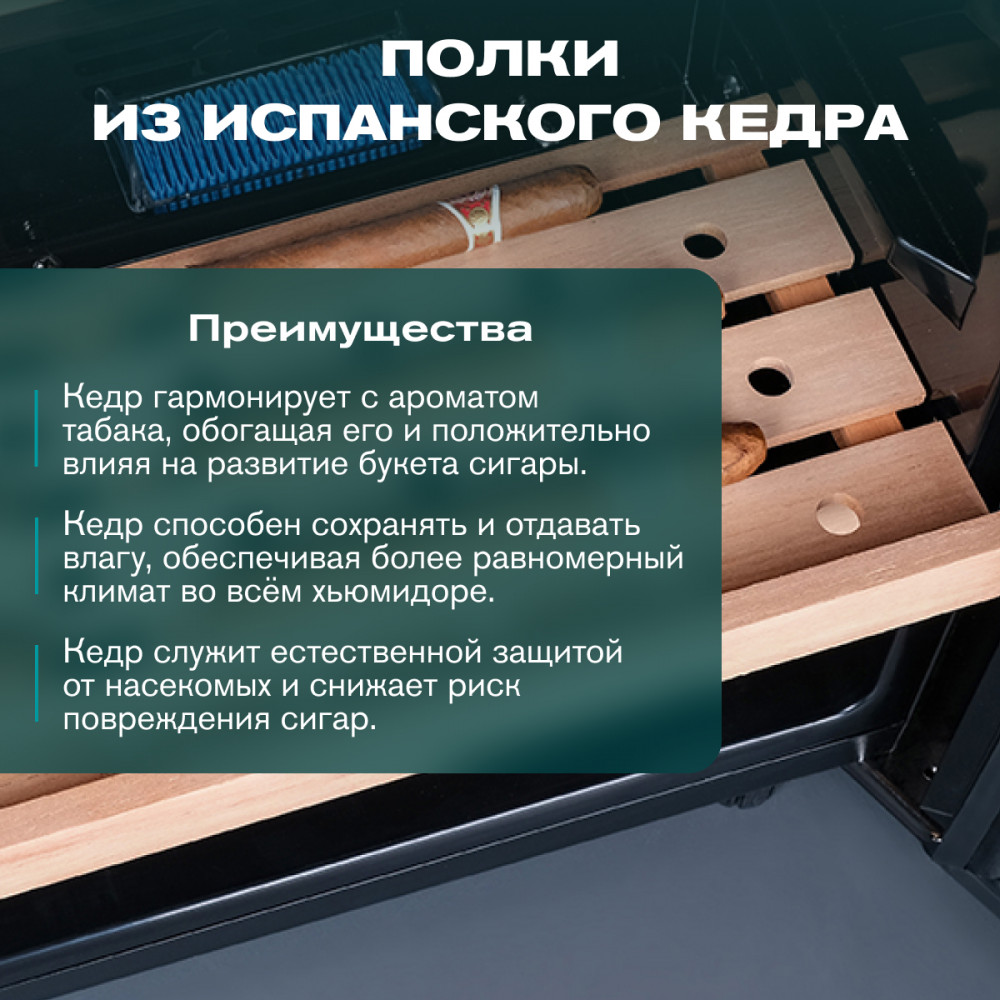 03-1000x1000.jpg