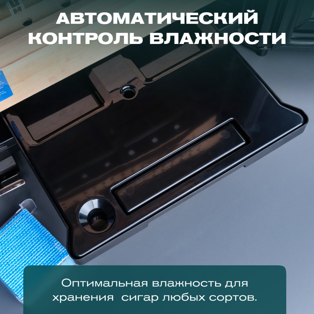 05-1000x1000.jpg