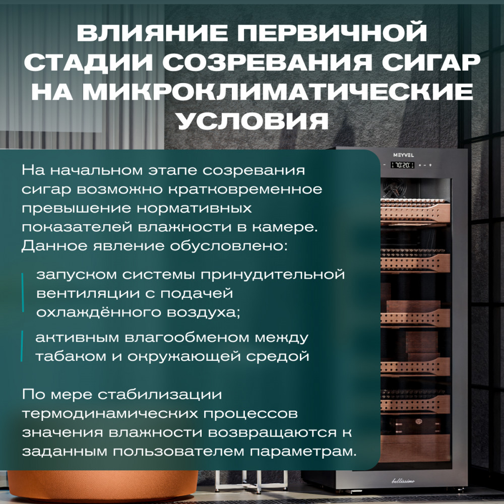 06-1000x1000.jpg