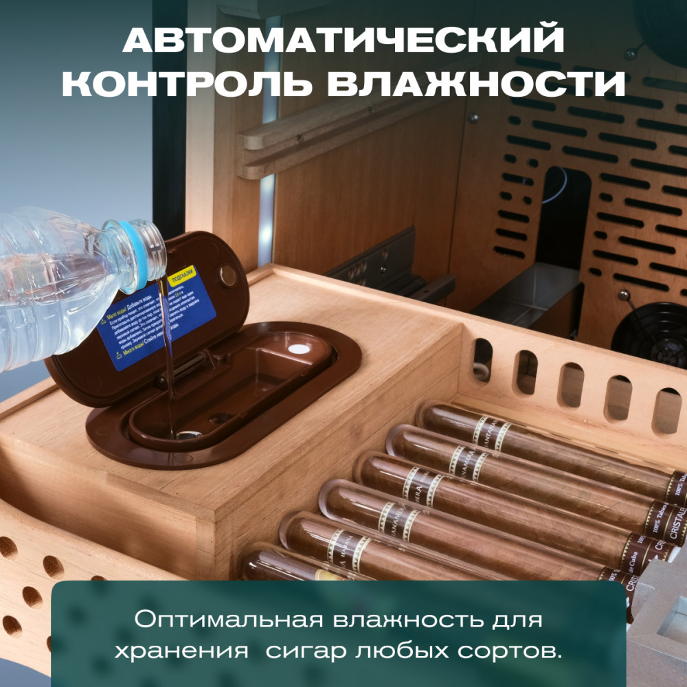 05-1000x1000.jpg