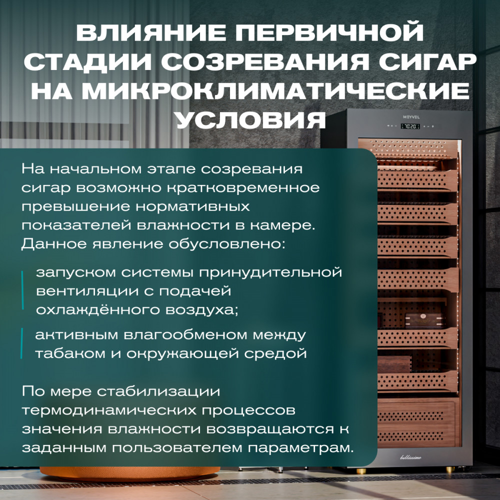 06-1000x1000.jpg